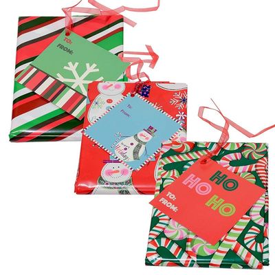 Bolsos plásticos coloridos del papel de regalo para la fiesta de Navidad